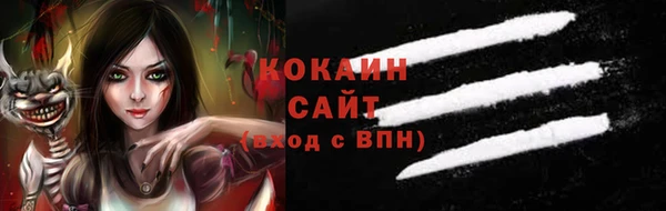 гидра Алексин