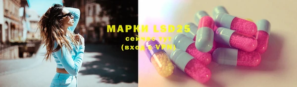 гидра Алексин