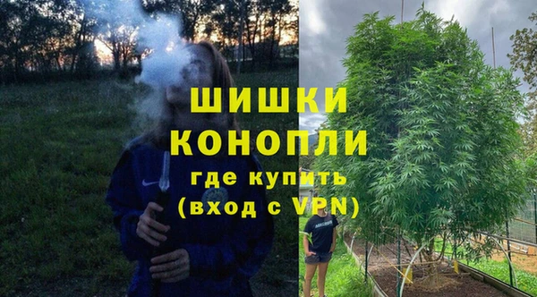 гидра Алексин